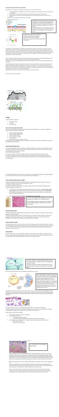 Preview documento per pagina 74