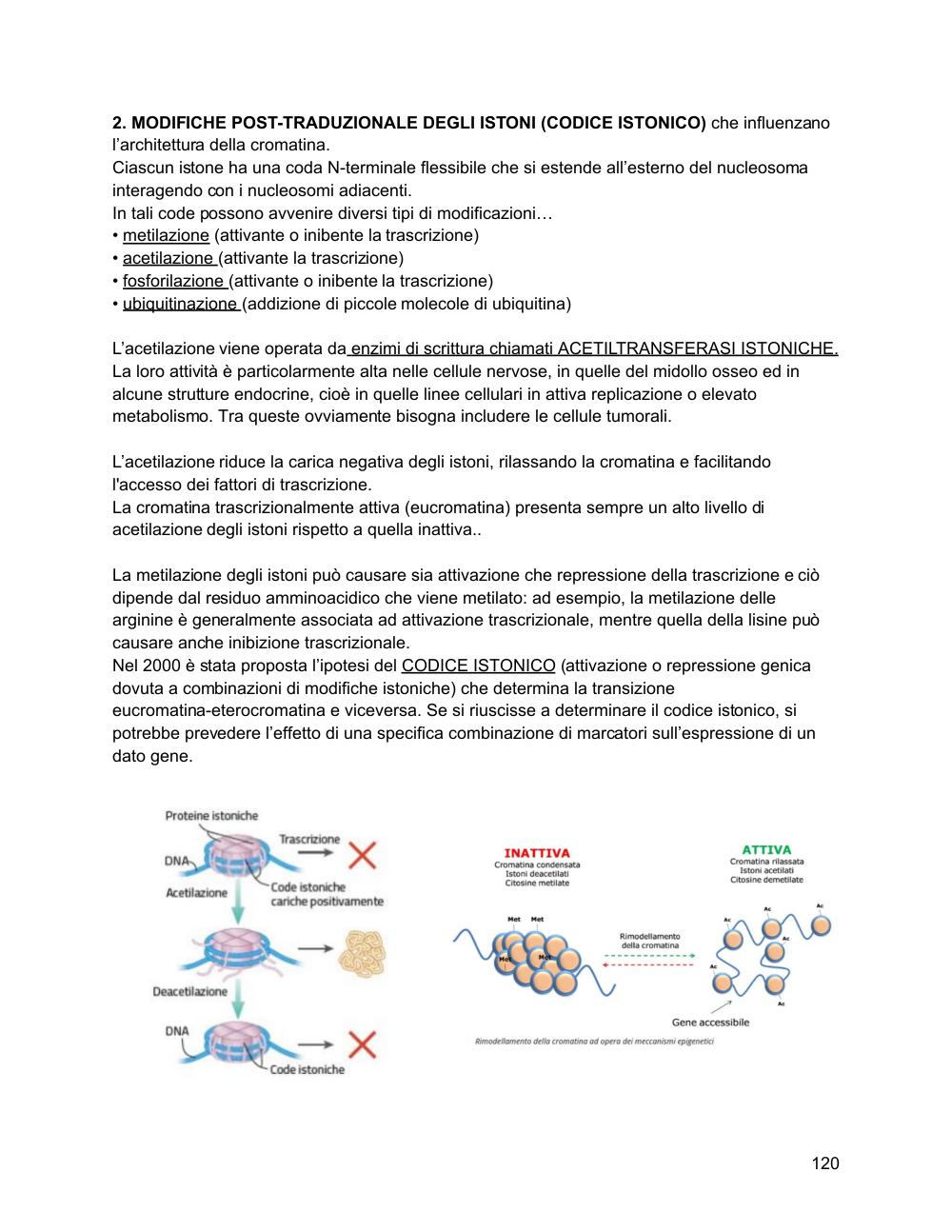 Preview documento per pagina 121