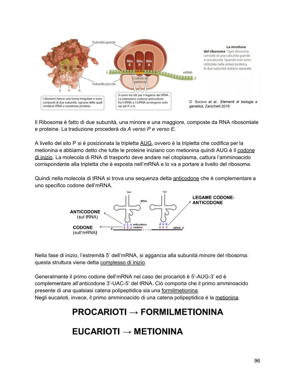 Preview documento per pagina 97