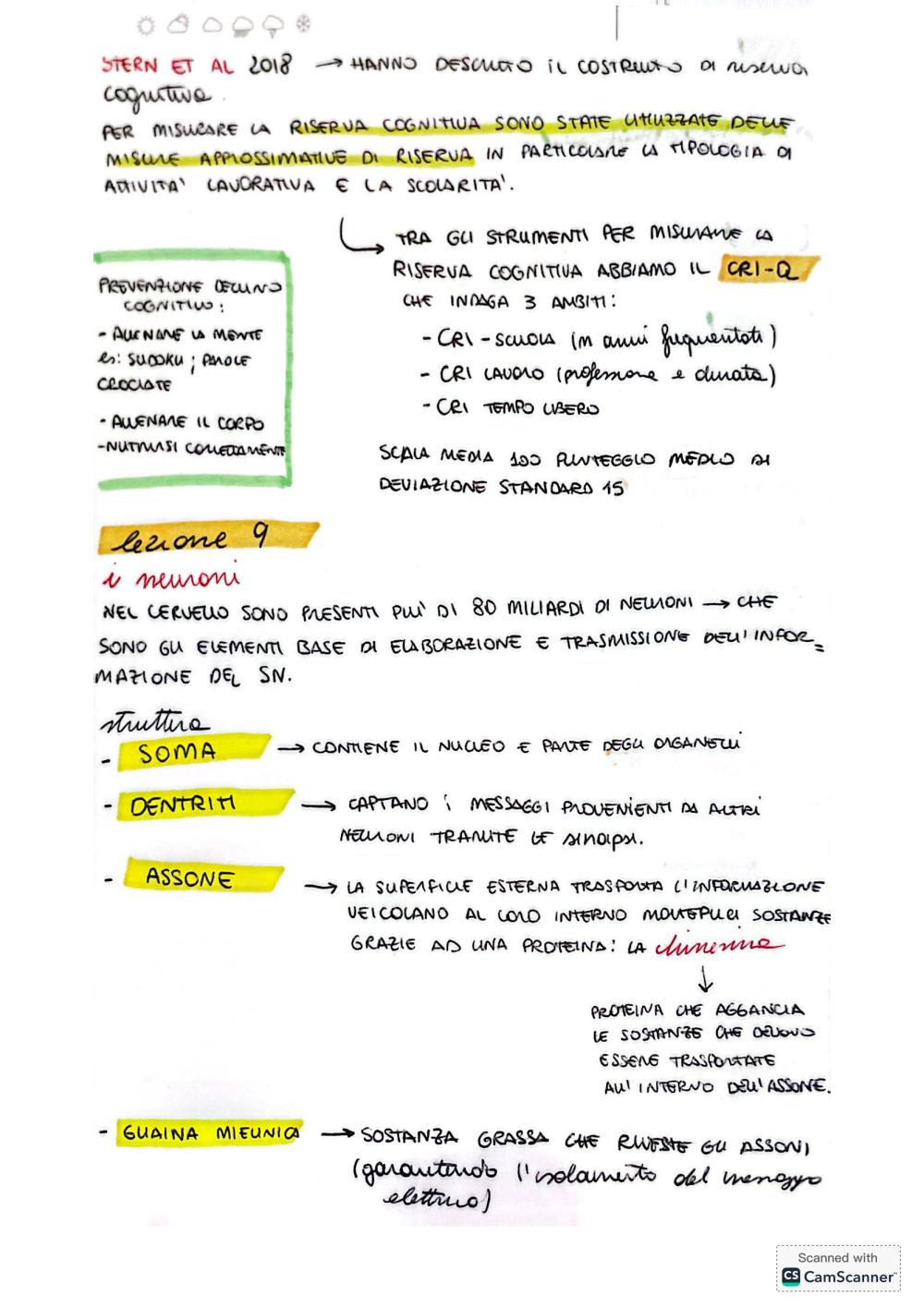 Preview documento per pagina 6