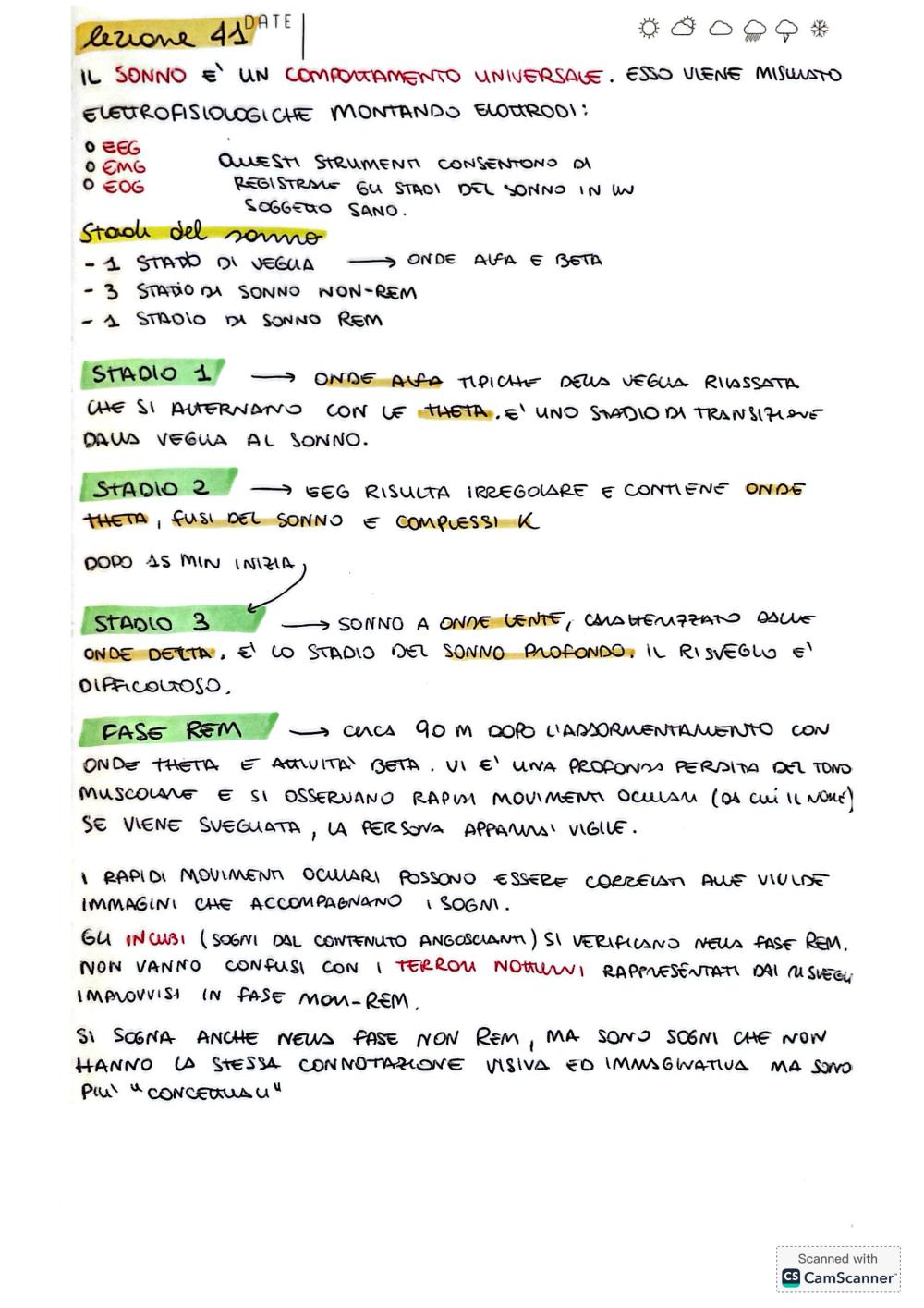Preview documento per pagina 31