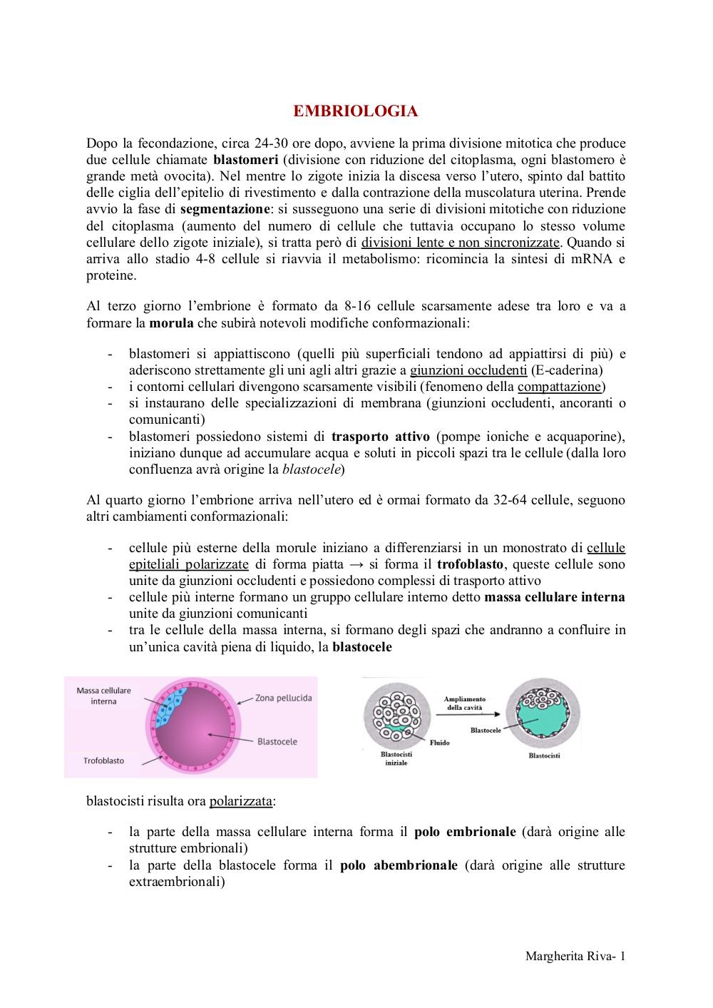 Preview documento per pagina 1