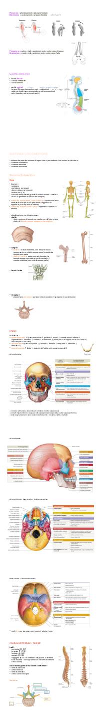 Preview documento per pagina 2