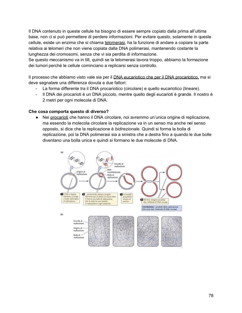 Preview documento per pagina 79