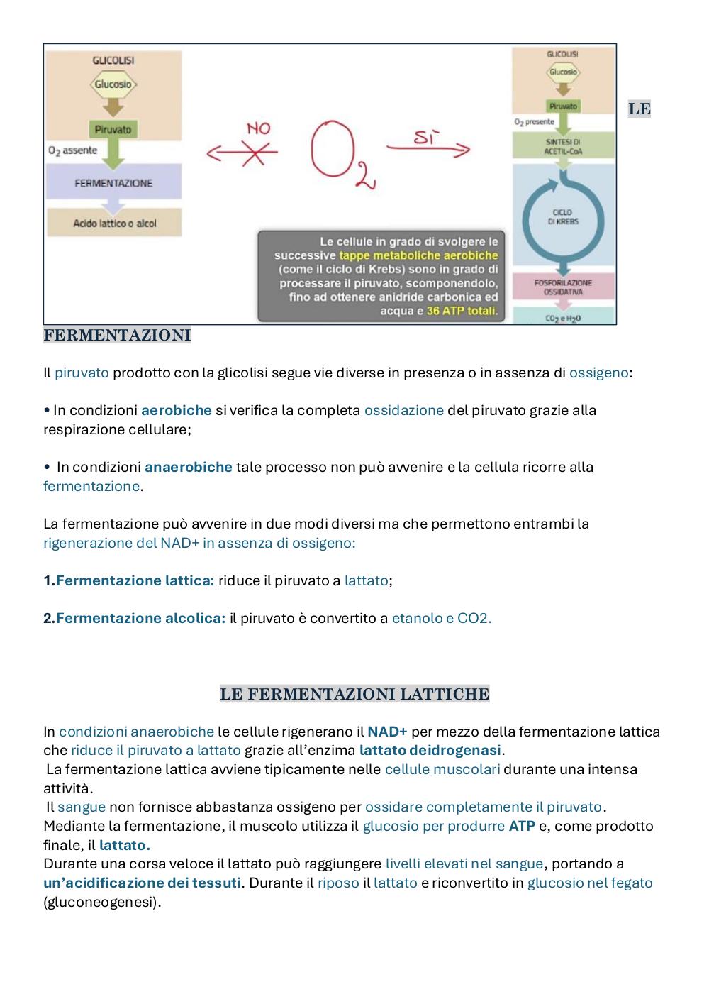Preview documento per pagina 6