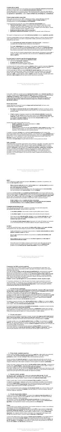 Preview documento per pagina 2