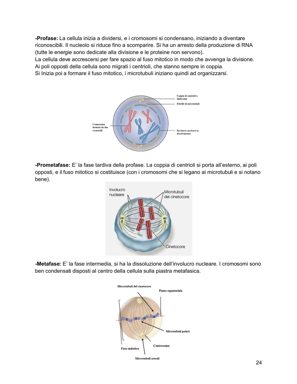 Preview documento per pagina 25