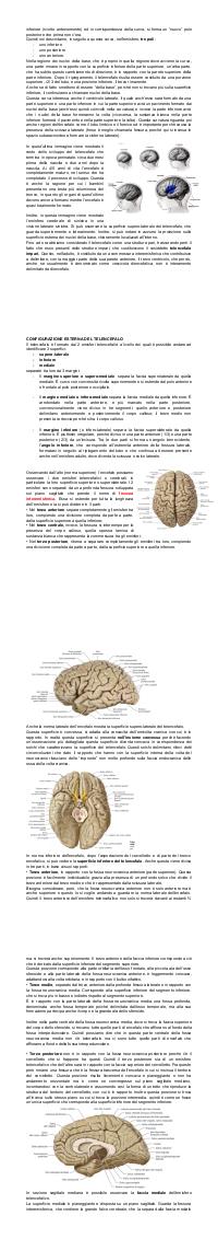 Preview documento per pagina 2