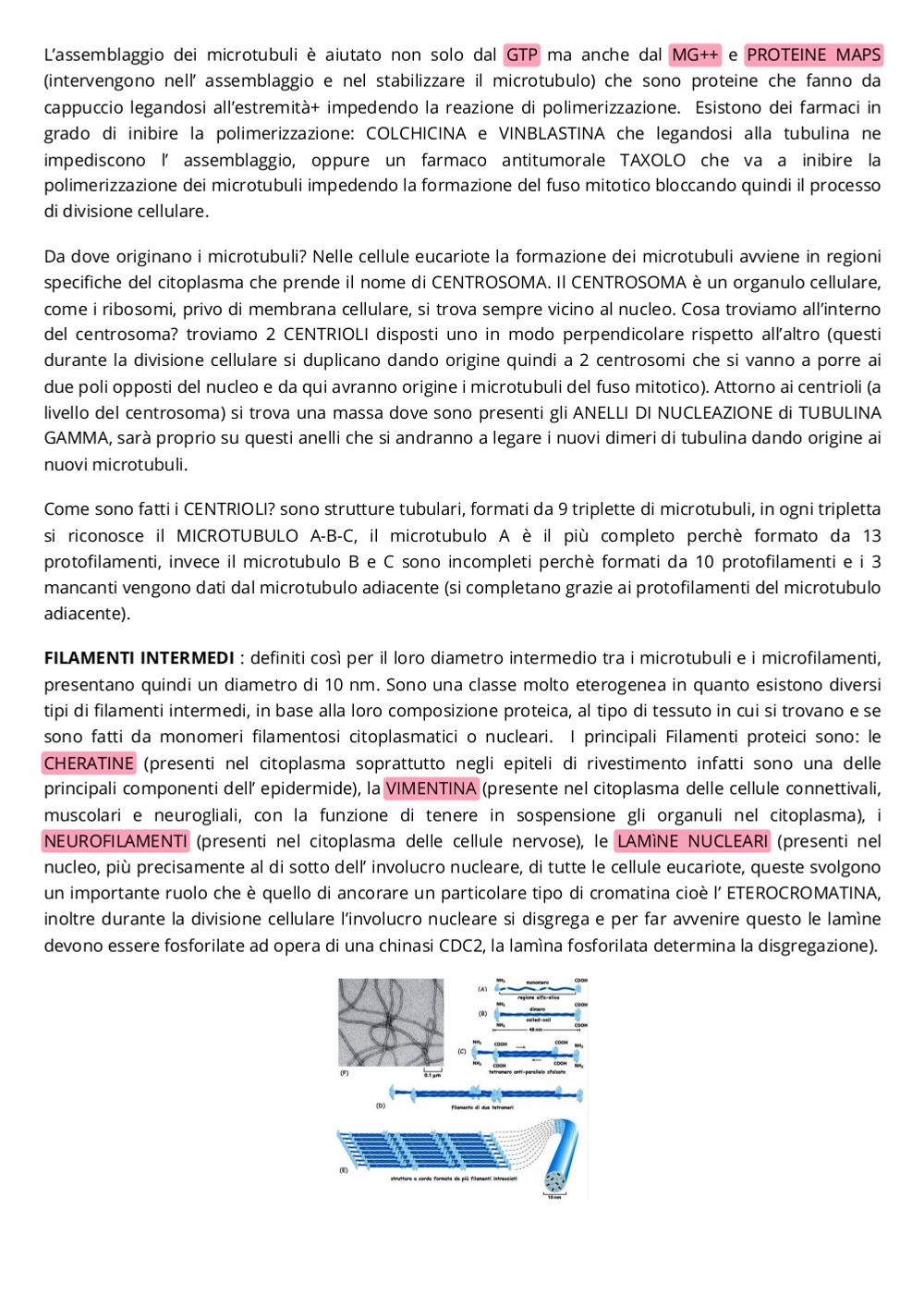 Preview documento per pagina 6