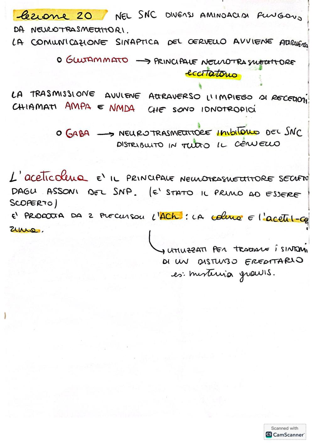 Preview documento per pagina 16