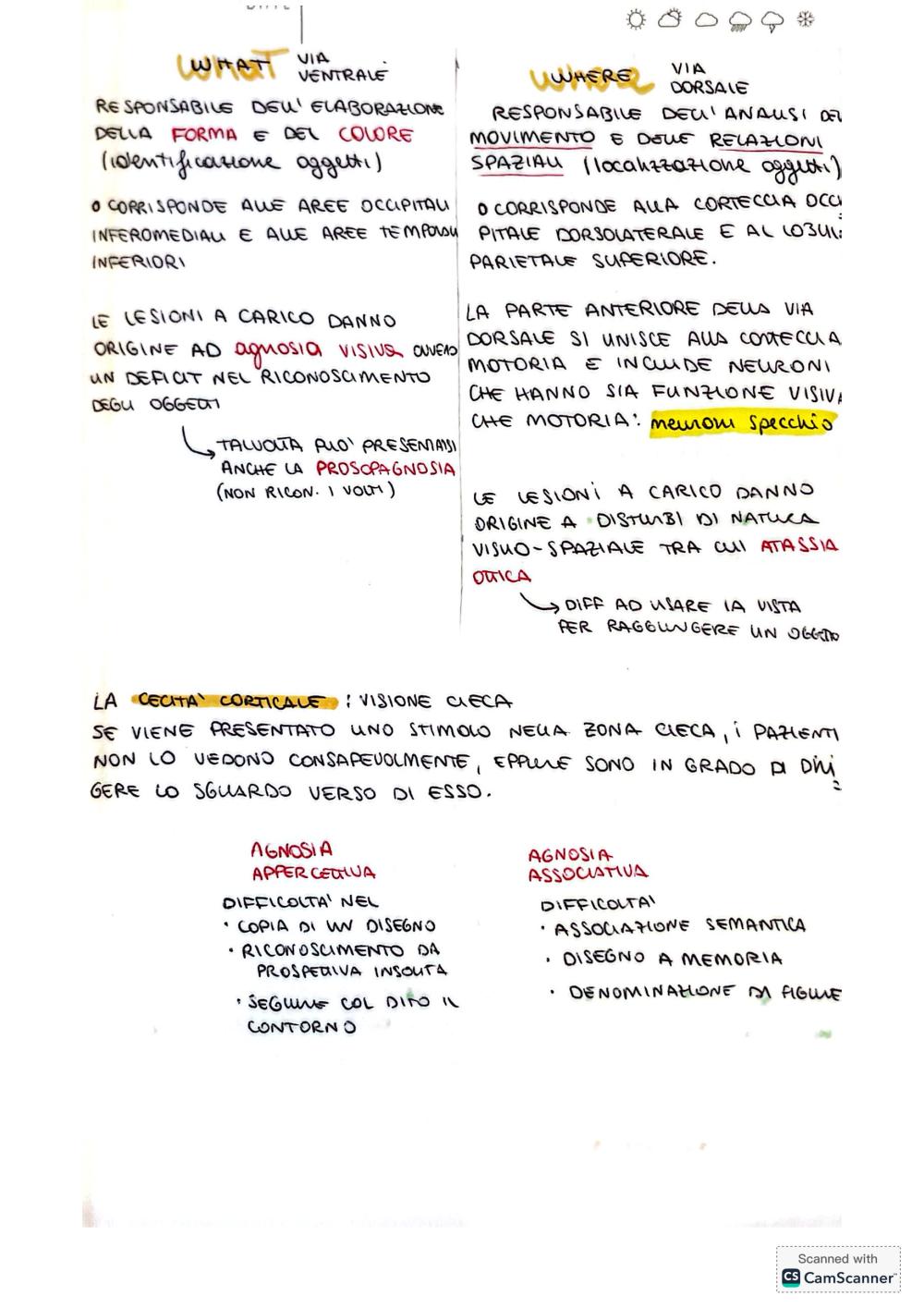 Preview documento per pagina 21