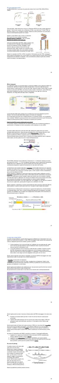 Preview documento per pagina 86
