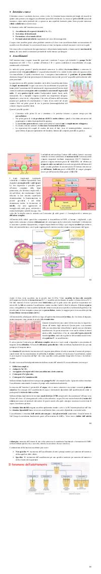 Preview documento per pagina 62