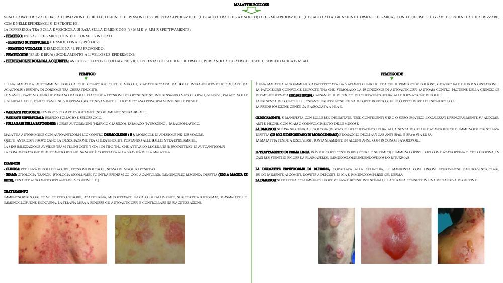 Preview documento per pagina 31