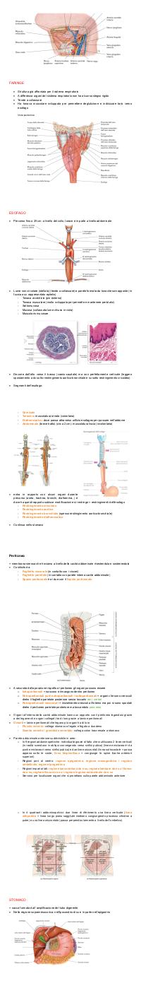 Preview documento per pagina 62