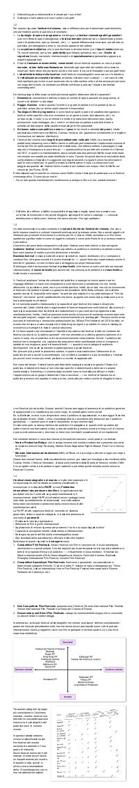 Preview documento per pagina 2
