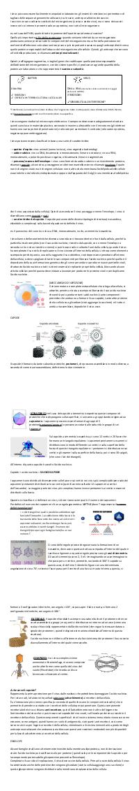 Preview documento per pagina 2