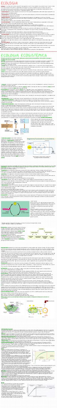 Preview documento per pagina 2