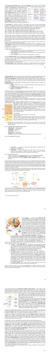 Preview documento per pagina 26