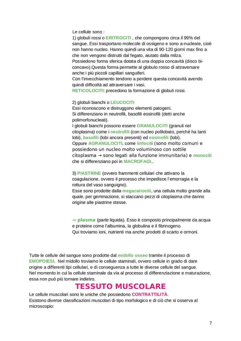 Preview documento per pagina 7