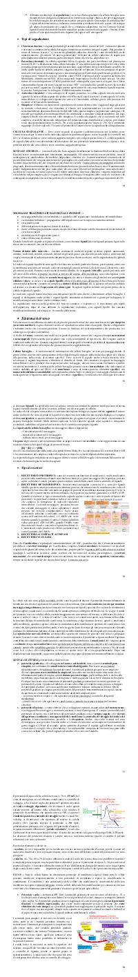 Preview documento per pagina 14