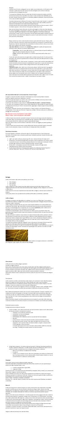 Preview documento per pagina 56