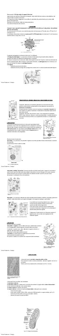 Preview documento per pagina 17