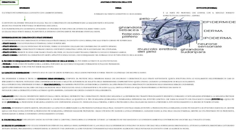 Preview documento per pagina 1