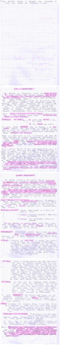 Preview documento per pagina 2