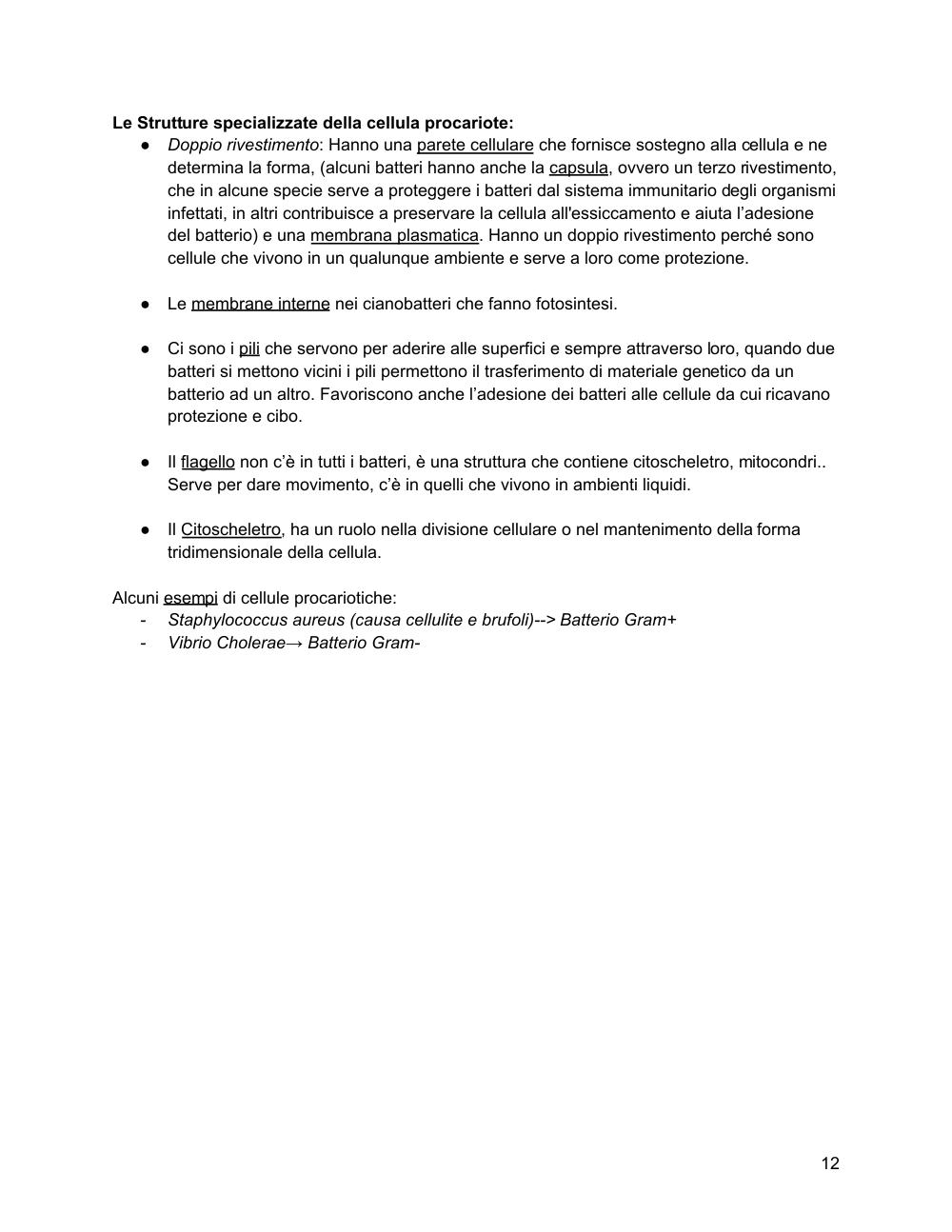 Preview documento per pagina 13