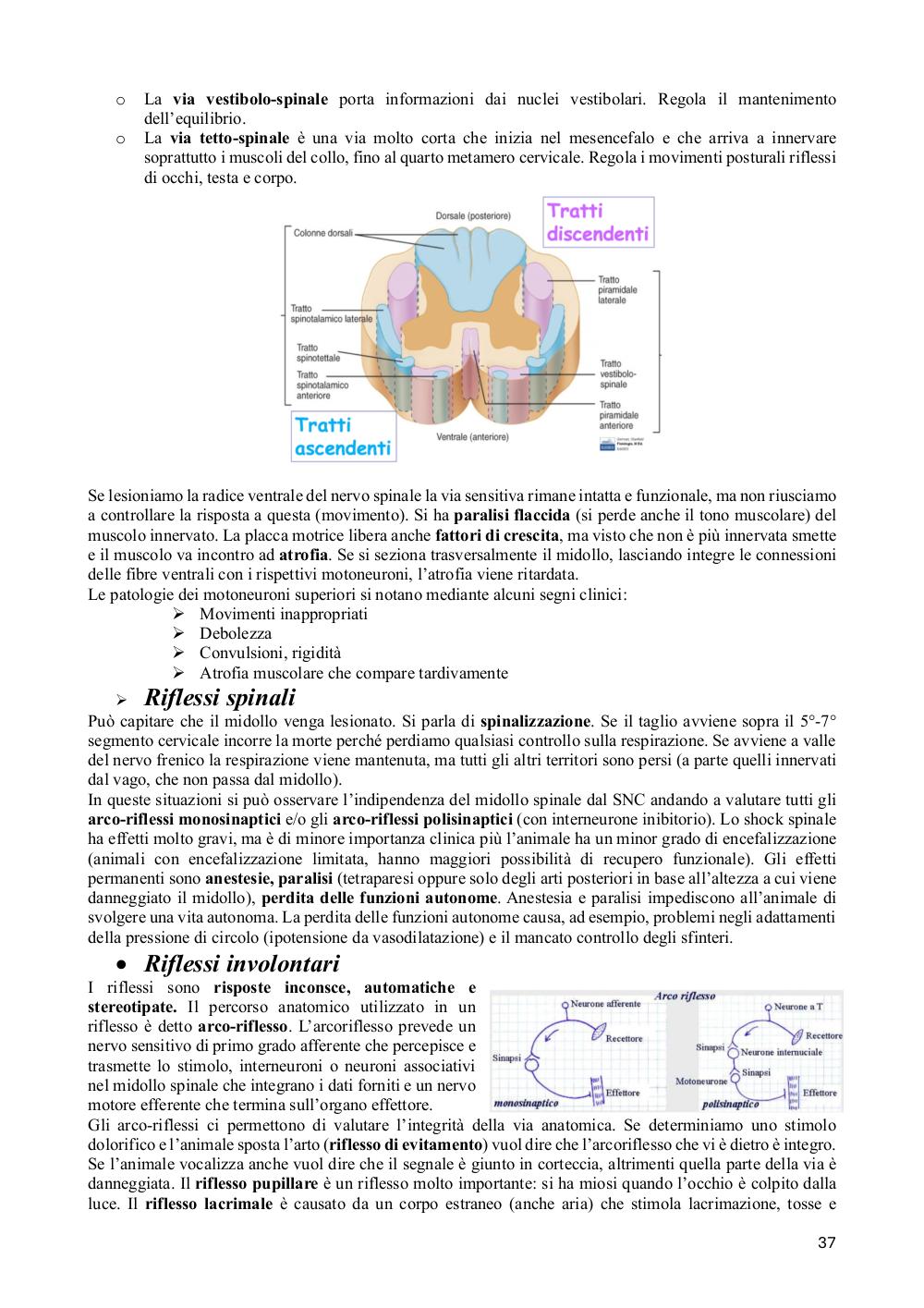 Preview documento per pagina 37