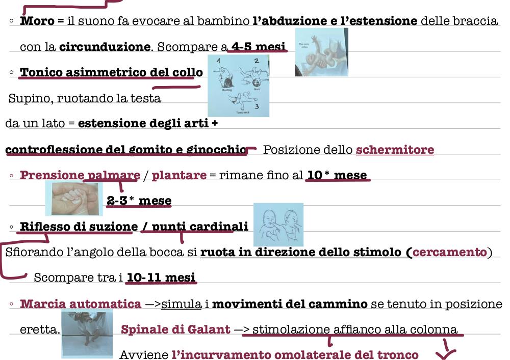 Preview documento per pagina 6