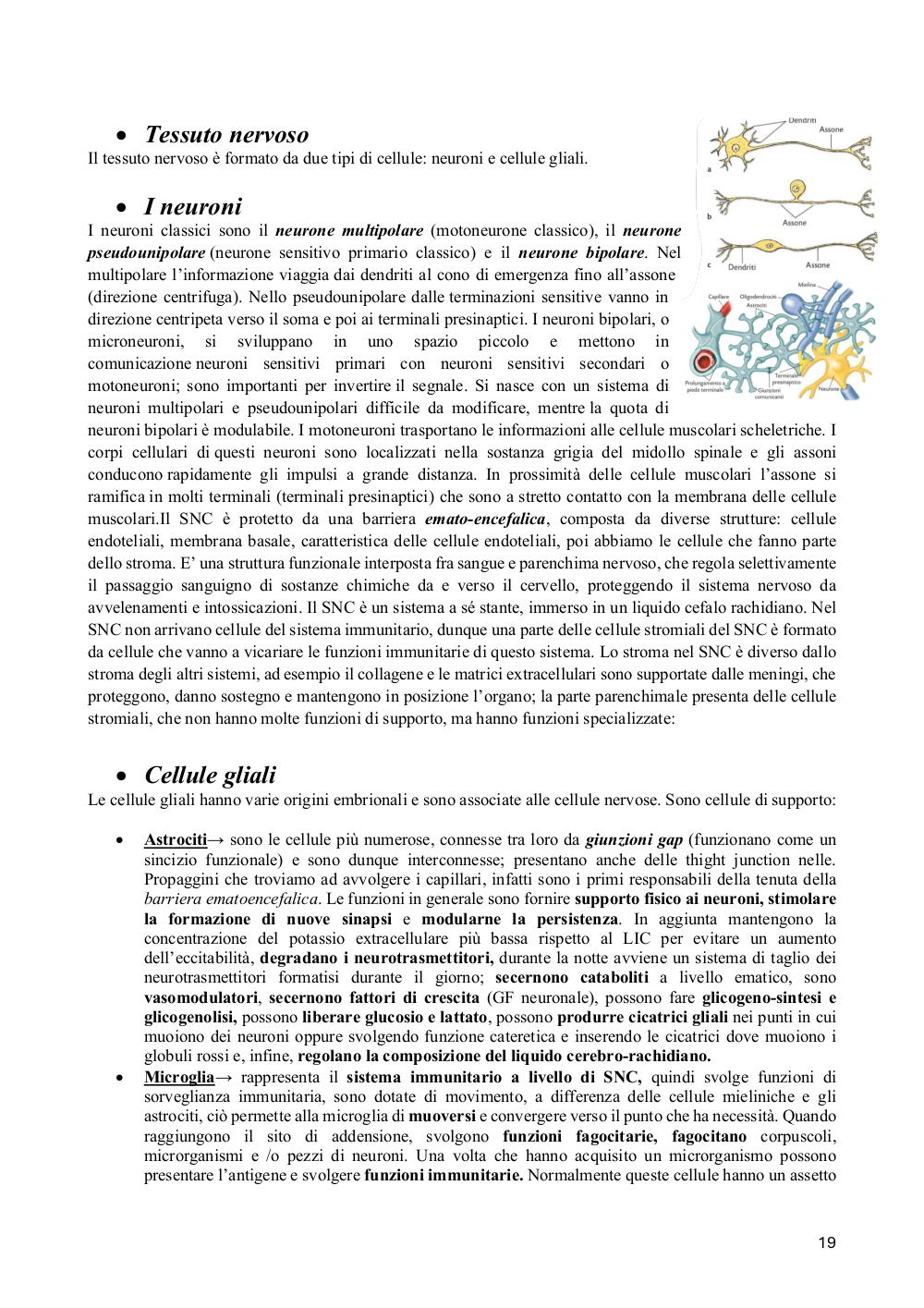 Preview documento per pagina 19
