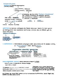 Preview documento per pagina 1