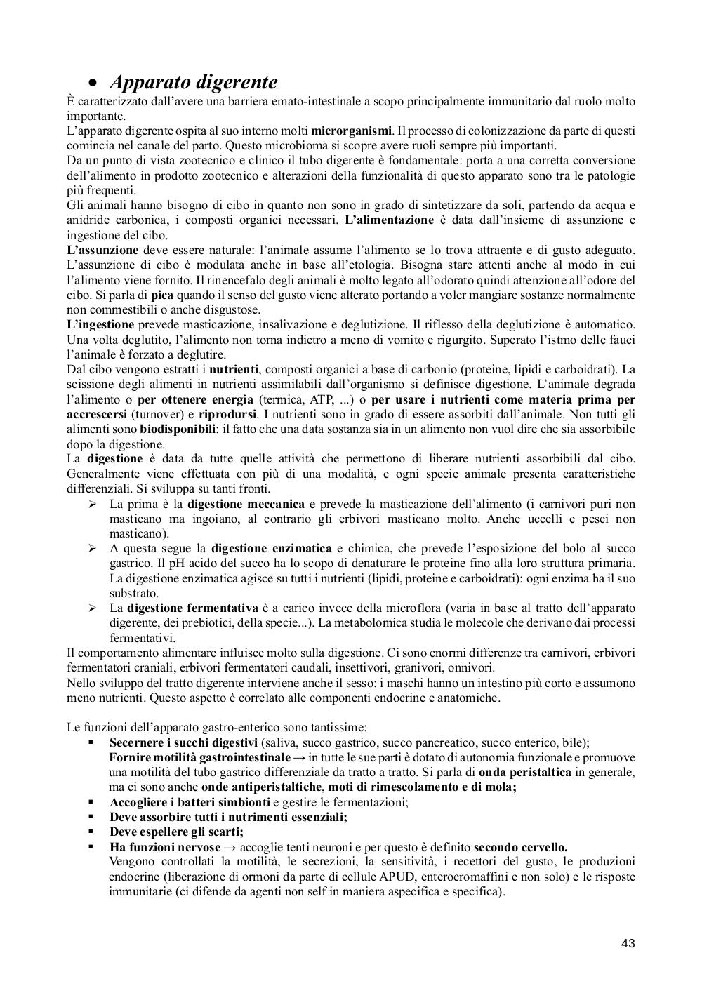 Preview documento per pagina 43