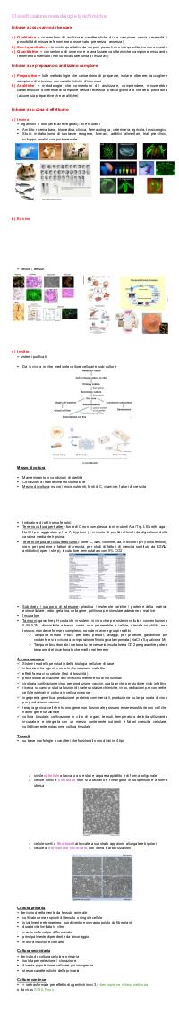 Preview documento per pagina 2