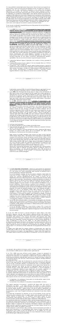 Preview documento per pagina 2