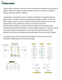 Macromolecole chimiche