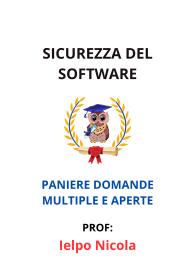 Paniere Svolto di SICUREZZA DEL SOFTWARE, Ielpo Nicola, 2025 - RISPOSTE MULTIPLE E APERTE