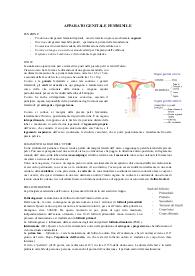 APPARATO GENITALE FEMMINILE