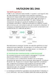 Mutazioni del DNA: tipi, meccanismi e riparazione, Appunti di Biologia