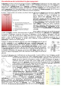 Appunti di Biochimica - La gluconeogenesi.