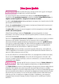 Prima Guerra Mondiale scuola superiore