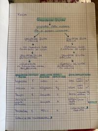 Grandezze fisiche