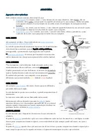 Appunti Anatomia Università