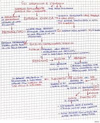 energia chimica, enzimi, metabolismo, reazioni detox, ATP