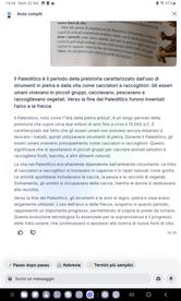 Le origini dell'umanità e prestoria
