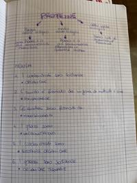 Proteine pt 2