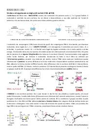 Appunti integrati con libro di Biologia Molecolare