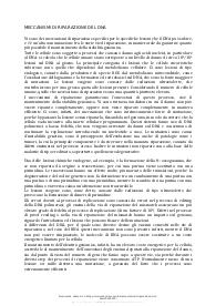 Meccanismi di riparazione del DNA